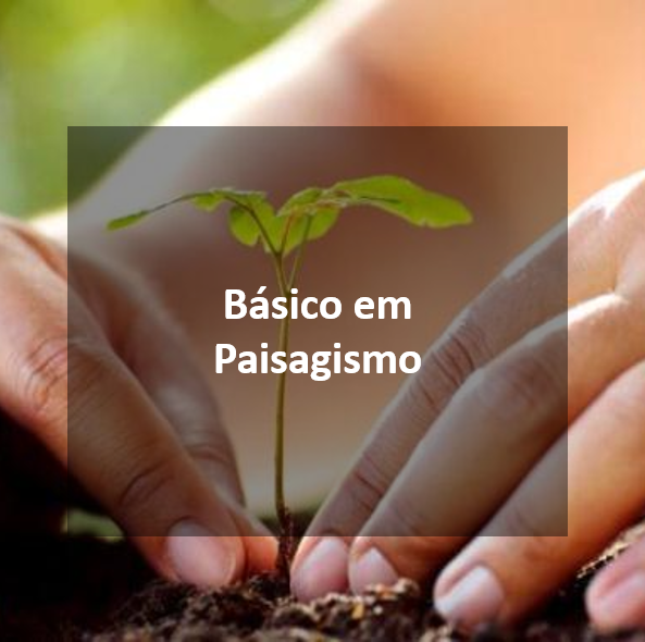 basico-paisagismo-escola-paisagismo-brasilia