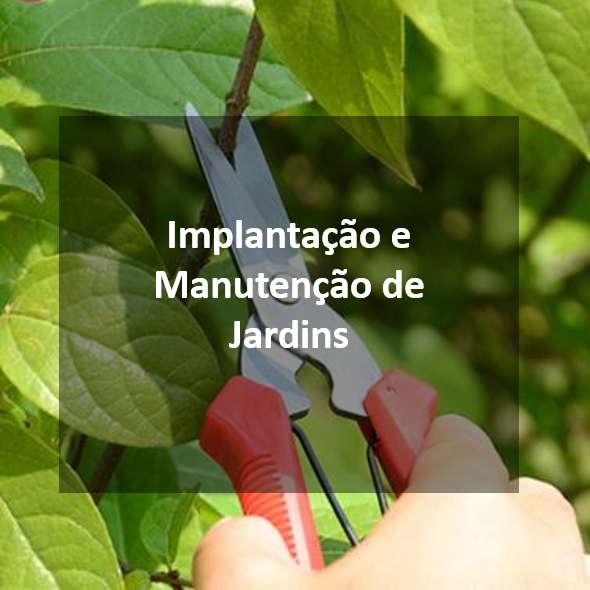 escola-paisagismo-brasilia-curso-livre-online-implantacao-manutencao-jardins